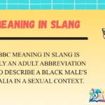 BBC Meaning in Slang