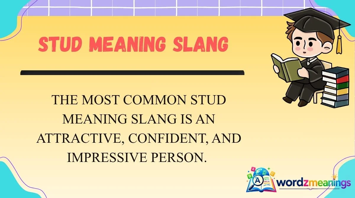 Stud Meaning Slang