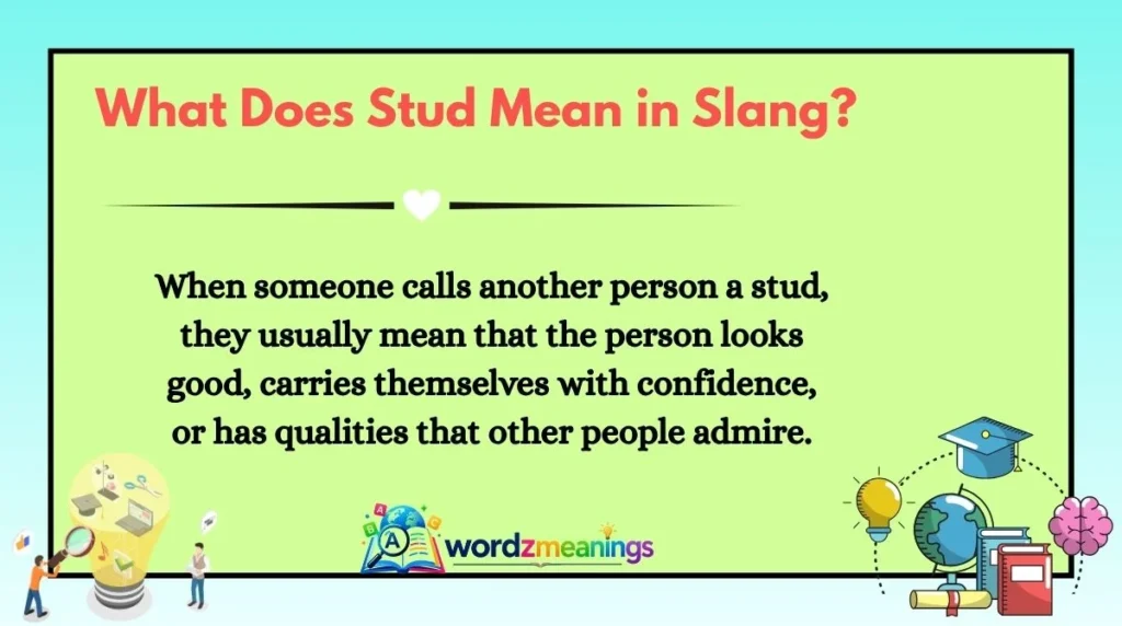 What Does Stud Mean in Slang?