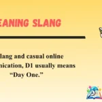 D1 Meaning Slang