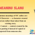 OC Meaning Slang