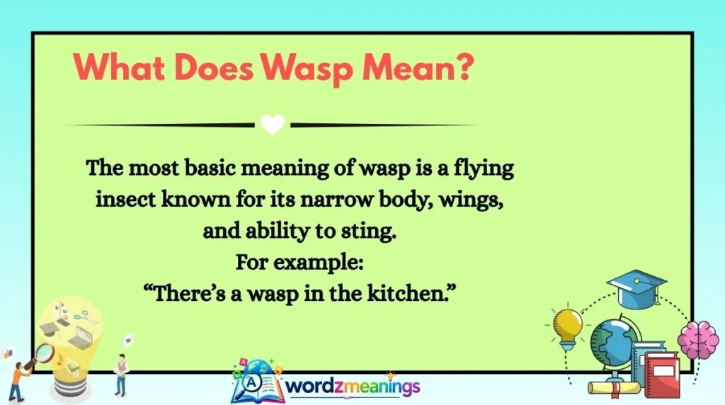 What Does Wasp Mean?