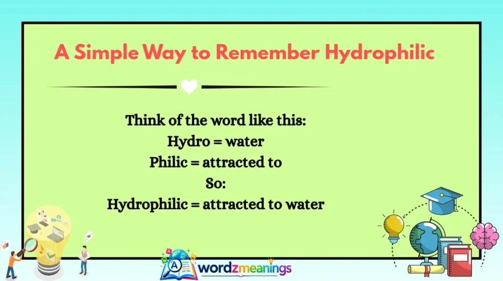 A Simple Way to Remember Hydrophilic