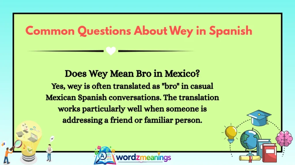 Common Questions About Wey in Spanish
