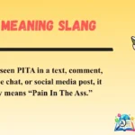 PITA Meaning Slang