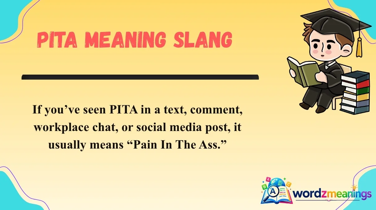 PITA Meaning Slang