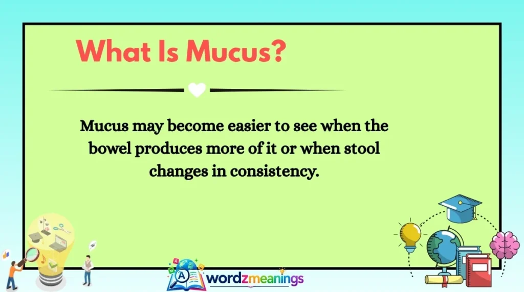 What Is Mucus?