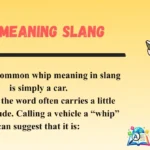 Whip Meaning Slang